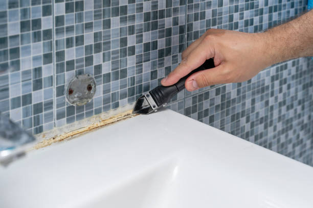 Best Residential Mold Removal  in Starkville, MS
